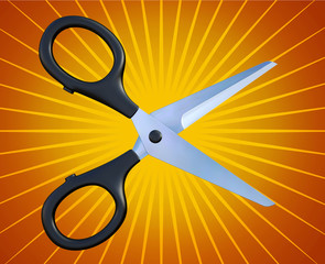 Scissors isolated on the background