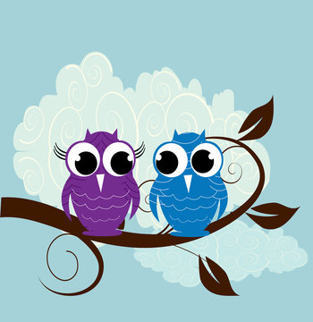 Vector illustration of two  cute owl