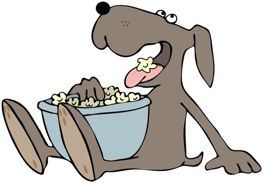 Dog Eating Popcorn