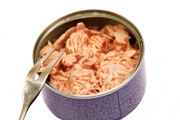 Thunfisch in der Dose