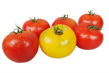 Пять красных помидоров и один желтый