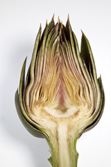 Obraz premium Artichoke