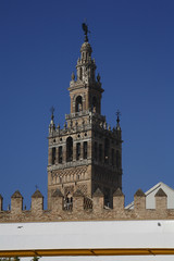 Obraz premium Sevilla, La Giralda, tower