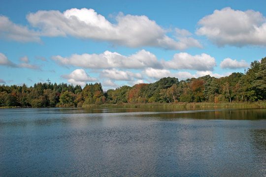 Stover Country Park