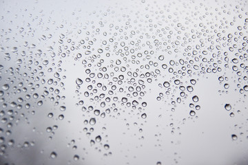 Water droplets on the grey glass - 30904902