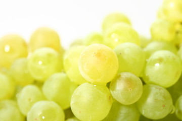 isolated grape