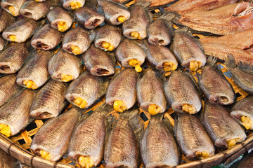 Dry Gourami fish