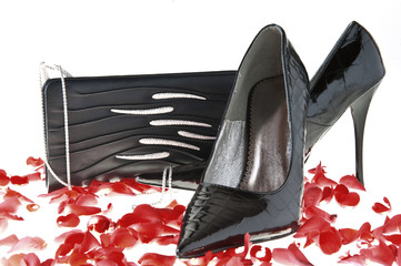 elegant Italian shoes for women on white background