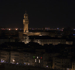 Fototapeta na wymiar Palazzo Vecchio - Firenze,Italia