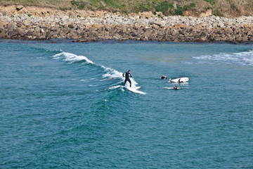 Stand up paddle