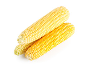 Yellow ear of corn