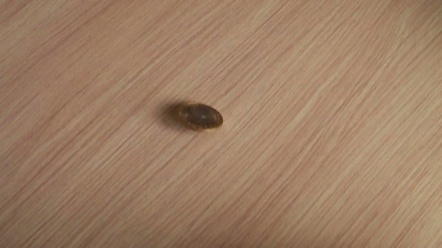Coins