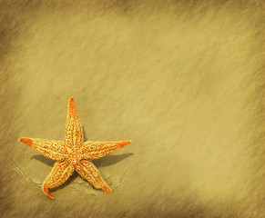 Fototapeta na wymiar starfish with old grunge antique paper texture