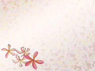 Obraz premium frangipani with old grunge antique paper texture .
