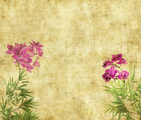 orchids with bamboo leaves