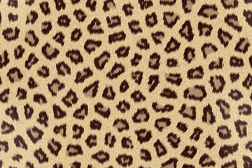 Leopard Skin Texture