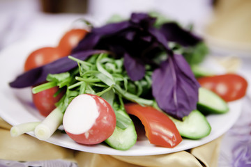 Fresh Vegetables, Fruits and other foodstuffs