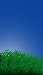 Background with grass and sky