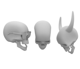 3d Skulls