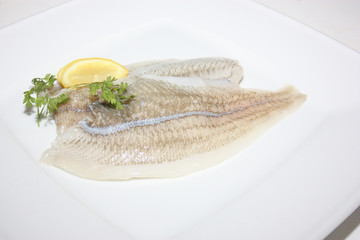 filet de carrelet
