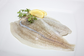 filet de carrelet