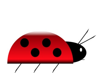 coccinelle rouge pois noirs