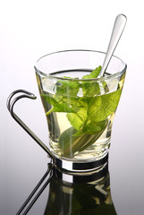 Cup of herbal tea with mint