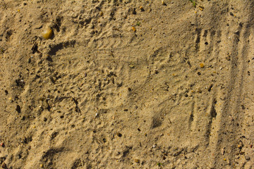 Footprint sand texture