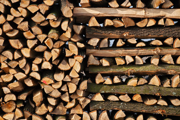 Brennholz wird getrocknet