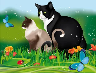 Poster Im Rahmen Katzen im Garten © crazycolors
