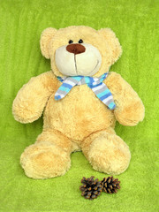 teddy bear with bumps