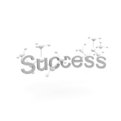 Creative Style 3D Success Text