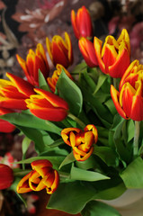 beautiful bouquet from red tulips closeup