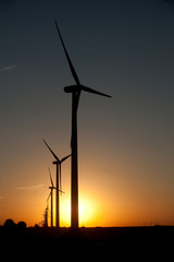 Obraz premium Wind farm at sunset