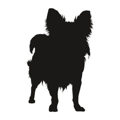 Obraz premium Dog shadow