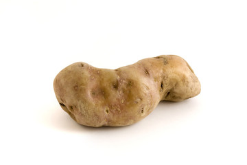 single misshapen potato over white