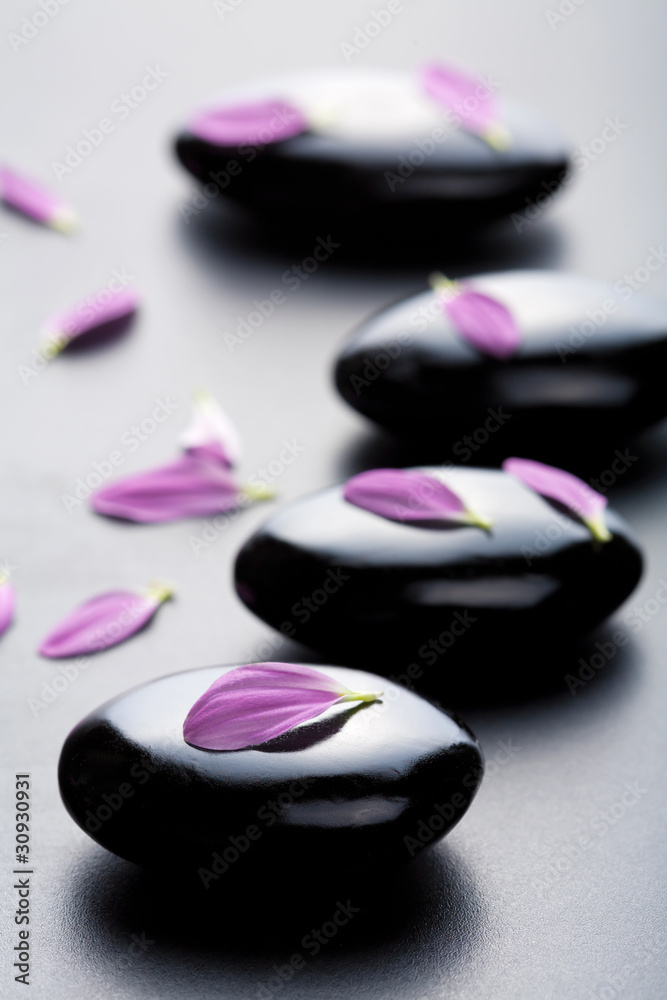 Wall mural massage stones and petals