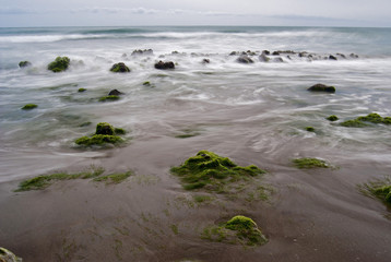 Mar, algas y piedras