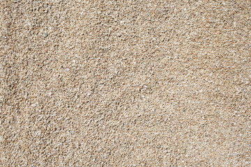 Pebble and Shell
