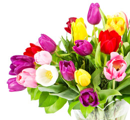 colorful bouquet of fresh tulip flowers