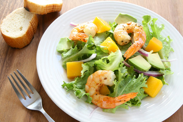 Shrimp and Mango Salad