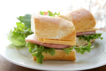 Ham and Cheese Sandwich
