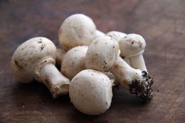 Champignons