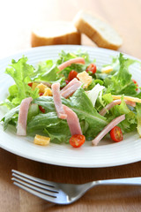 Ham and Cheese Salad