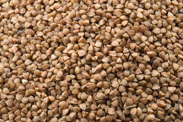 buckwheat