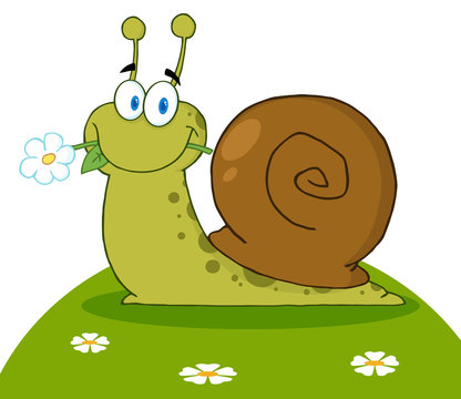 Happy Snail With A Flower In Its Mouth On A Hill