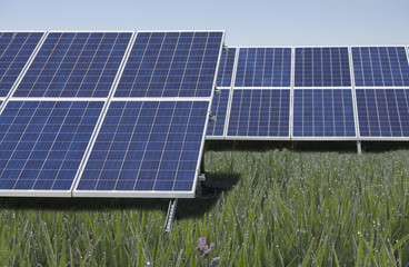 Placas solares en la hierba