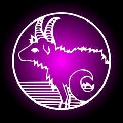 Capricorn zodiac sign vector