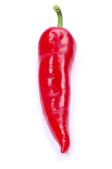 chili pepper