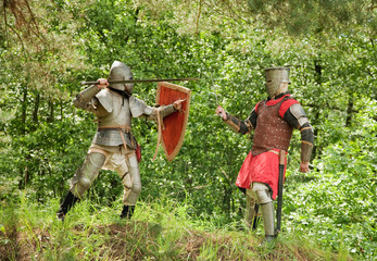fighting knights